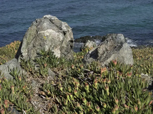 The Island of corsica — Stock Photo, Image