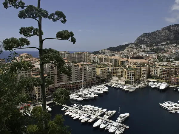 Monaco à la mer — Photo