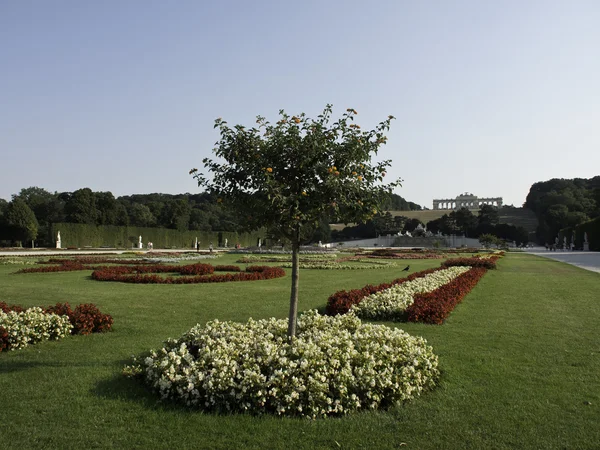 Staden Wien — Stockfoto