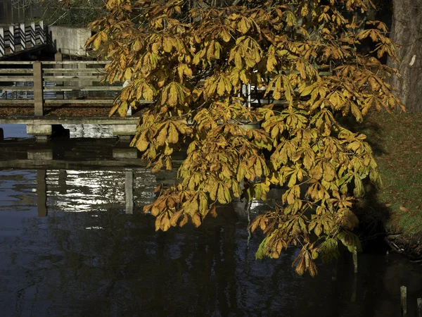 Leer in germany — Stock fotografie