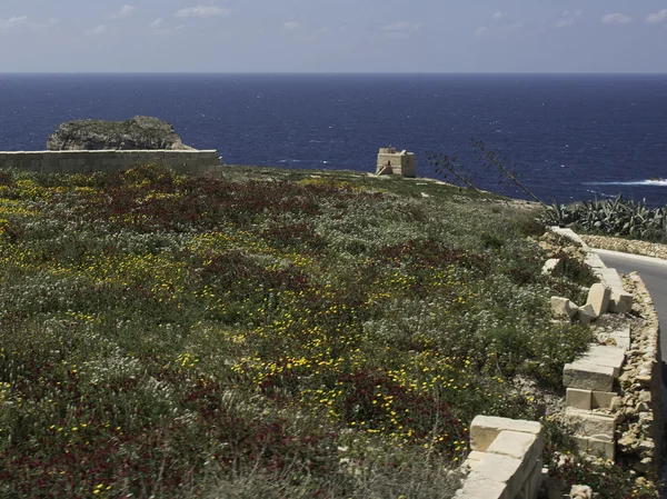 The Island of gozo — Stock Photo, Image