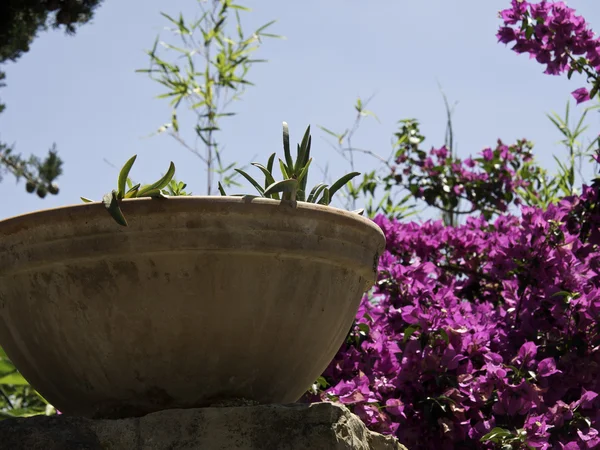 Le castellet in francia — Foto Stock