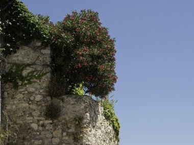 le castellet şehir