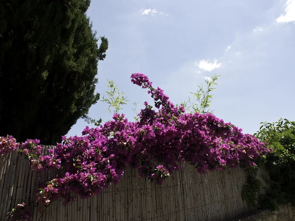 Le castellet in francia — Foto Stock