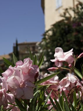 Fransa'da Le castellet