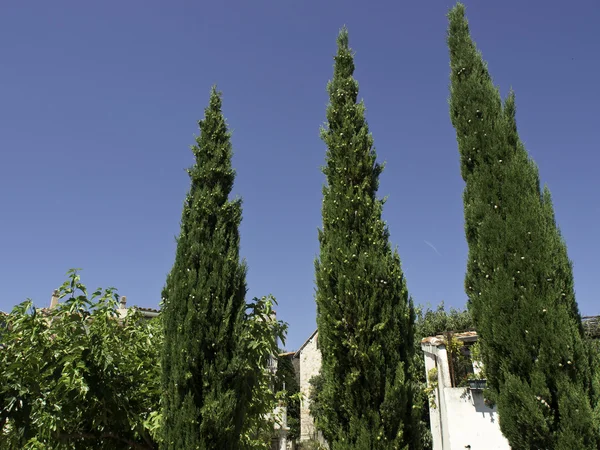 Le castellet em frança — Fotografia de Stock