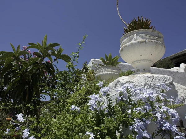 Ön ibiza — Stockfoto