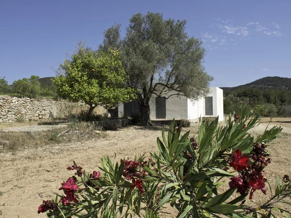 Isla de ibiza — Foto de Stock