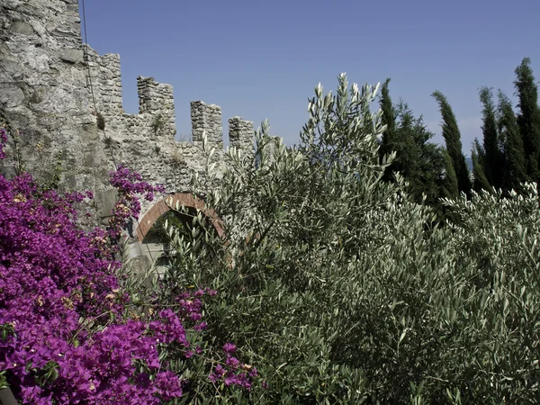 Le Cinque Terre — Foto Stock