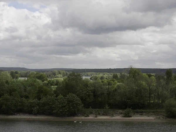 Seine Nehri — Stok fotoğraf