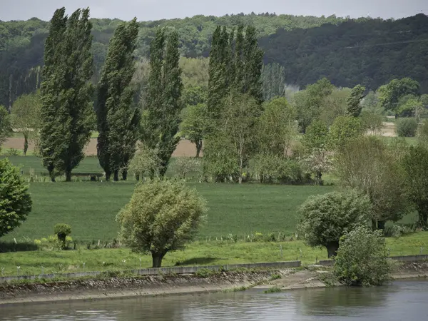 La senne de rivière — Photo