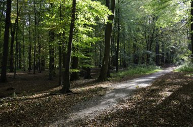 Raesfeld Kalesi