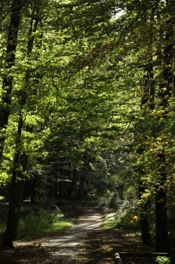 Raesfeld Kalesi