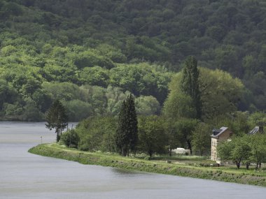seine Nehri