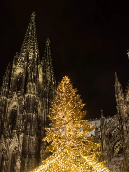 Köln'de Noel