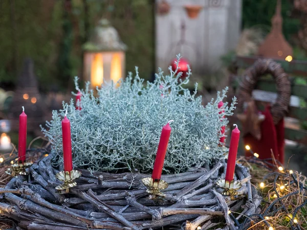 Winter im garten — Stockfoto