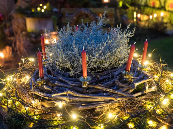 Winter im garten — Stockfoto