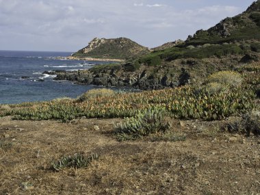Korsika adası.