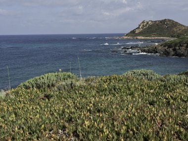 Korsika adası.