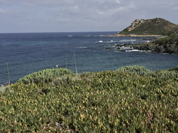 Korsika adası.