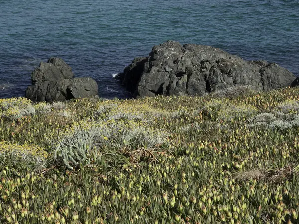 Die Insel Korsika — Stockfoto