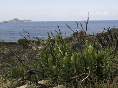 Korsika adası.
