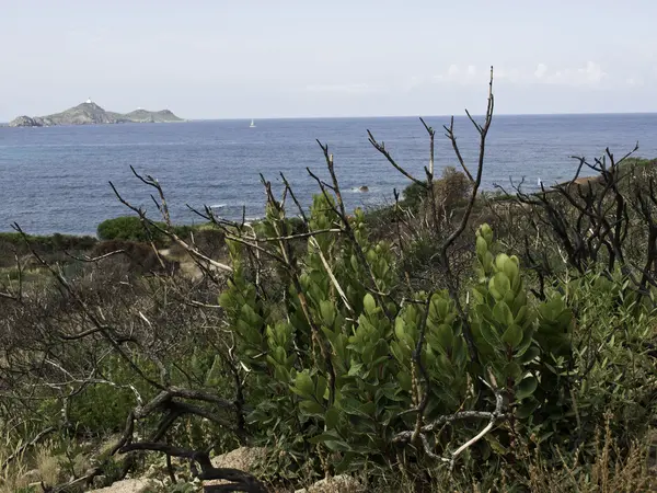 A ilha da Córsega — Fotografia de Stock