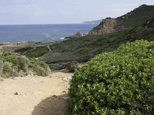 La isla de Córcega — Foto de Stock