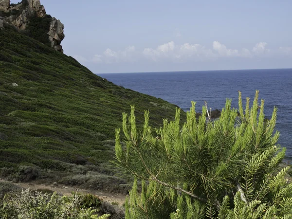 Het eiland Corsica — Stockfoto