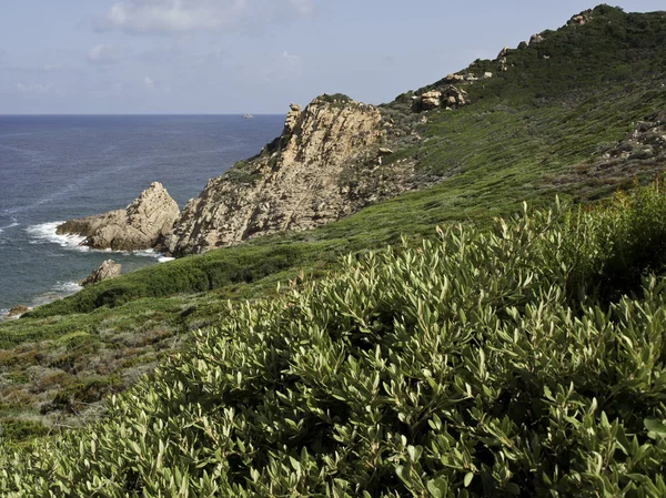 La isla de Córcega — Foto de Stock