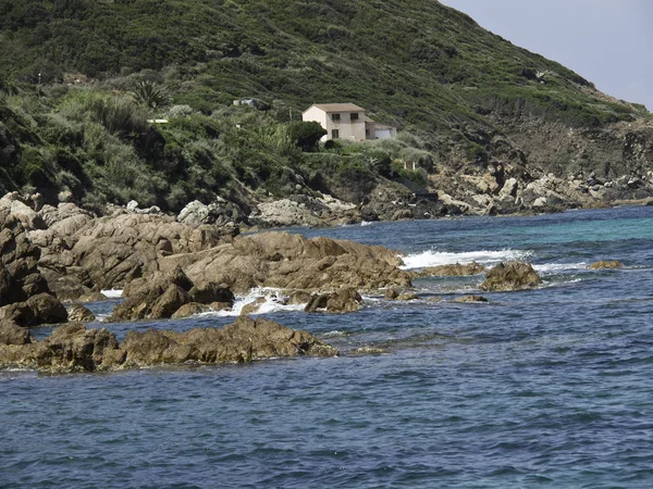 Ostrov Korsika — Stock fotografie