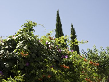 Fransa'da Le castellet