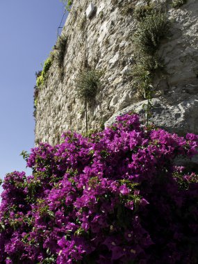 Fransa'da Le castellet