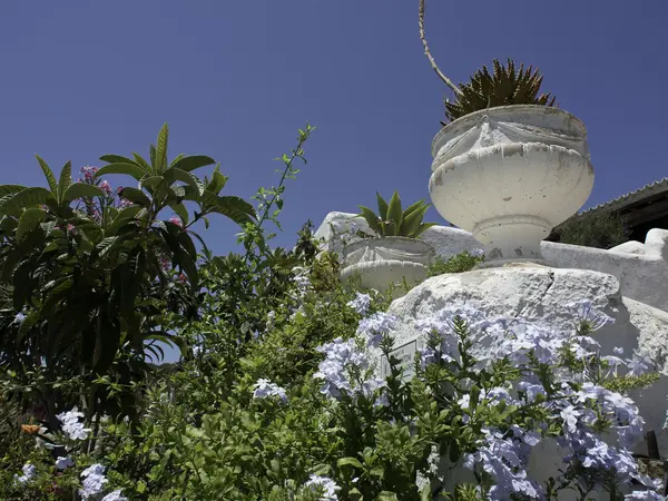 Ostrov ibiza — Stock fotografie