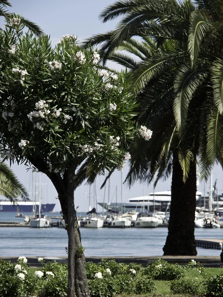 Ligurie v Itálii — Stock fotografie