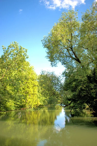 Almanya 'nın Augsburg merkezindeki doğal park 4.7.2020