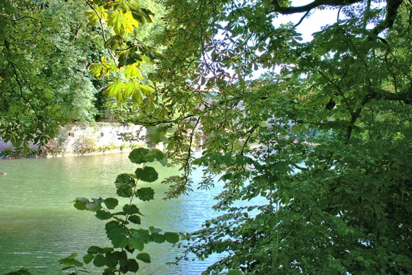 Natuurpark Het Centrum Van Augsburg Duitsland 2020 — Stockfoto