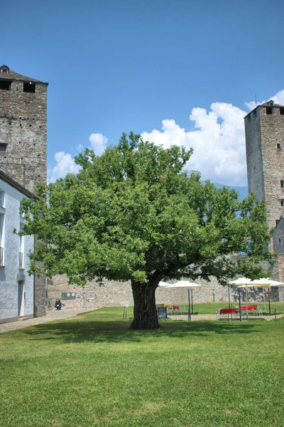 Sviçre Bellinzona Castelgrande 2020 — Stok fotoğraf