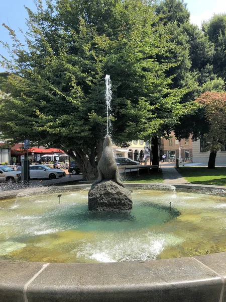 Fontana Acqua Nel Centro Bellinzona Svizzera 2020 — Foto Stock