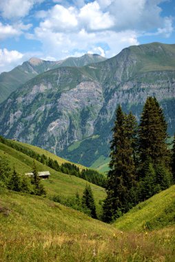İsviçre 'deki Vals Dağı manzarası 31.7.2020