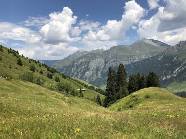 İsviçre 'deki şişeler büyüleyici dağ manzarası 31.7.2020