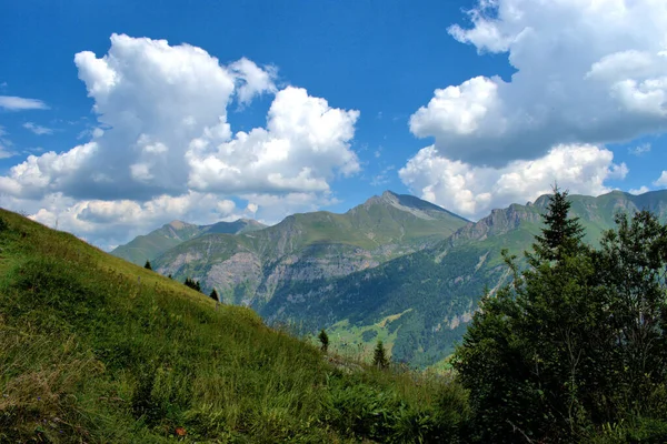 Vitigni Svizzera Una Bella Giornata 2020 — Foto Stock