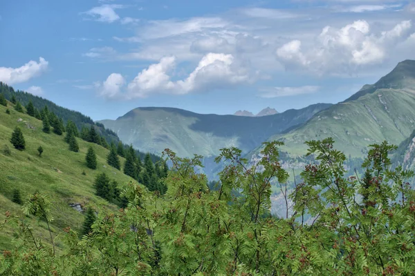 Cima Montuosa Unica Vals Svizzera 2020 — Foto Stock
