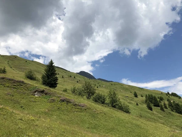 Flacons Suisse Vue Fascinante Sur Montagne 2020 — Photo