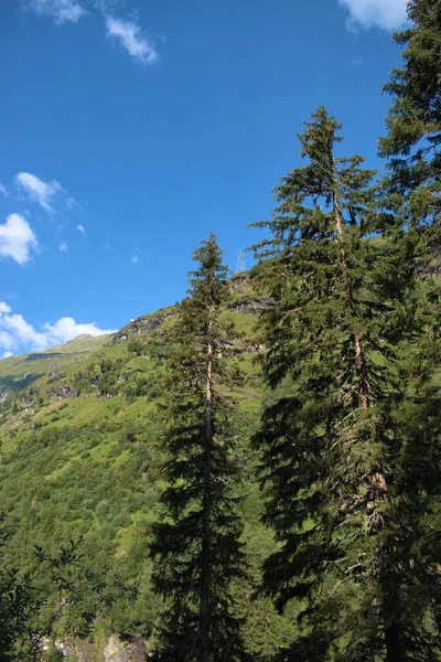 stock image Peaceful landscape at Zervreila in Switzerland 31.7.2020