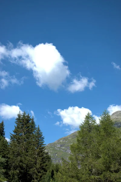 Paisaje Montañoso Zervreila Suiza 2020 — Foto de Stock