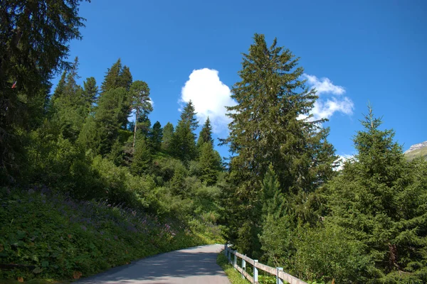 Spokojny Krajobraz Zervreila Szwajcarii 2020 — Zdjęcie stockowe