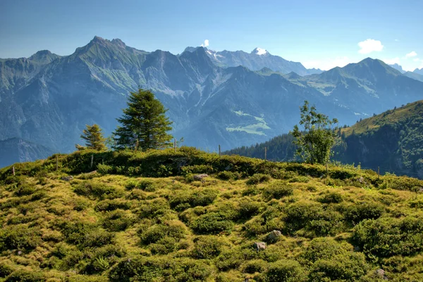 瑞士Pizol山难以置信的高山全景7 2020 — 图库照片