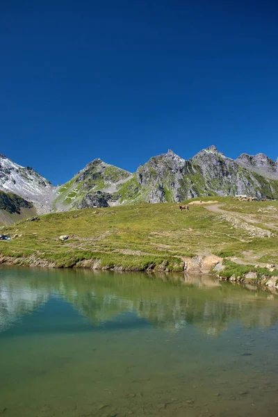 Lago Alpino Idílico Monte Pizol Suiza 2020 — Foto de Stock