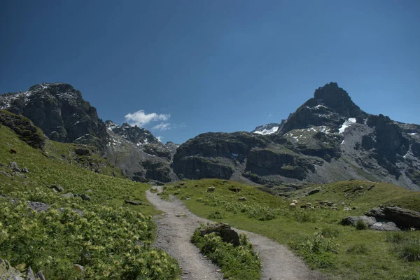 Switzerlands Beautiful Mountains Seen Pizol 2020 — Stock Photo, Image